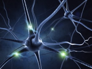What is involved in a neurological nerve conduction test?